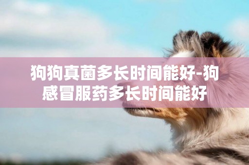 狗狗真菌多長時間能好-狗感冒服藥多長時間能好