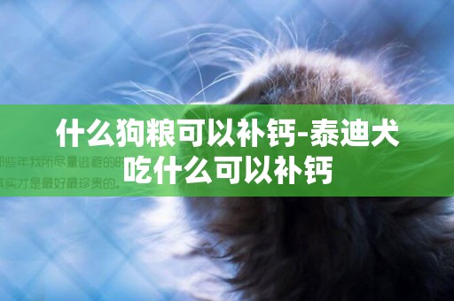 什么狗糧可以補鈣-泰迪犬吃什么可以補鈣