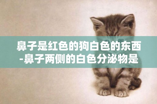 鼻子是紅色的狗白色的東西-鼻子兩側的白色分泌物是什么東西