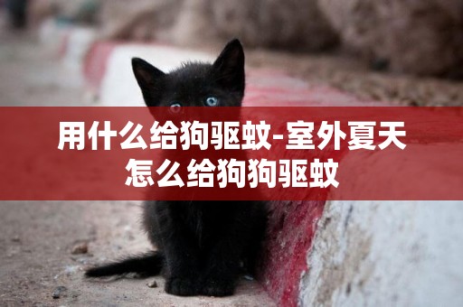 用什么給狗驅蚊-室外夏天怎么給狗狗驅蚊