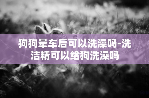 狗狗暈車后可以洗澡嗎-洗潔精可以給狗洗澡嗎