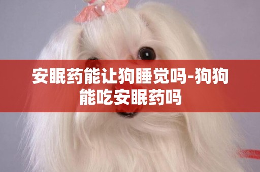 安眠藥能讓狗睡覺嗎-狗狗能吃安眠藥嗎