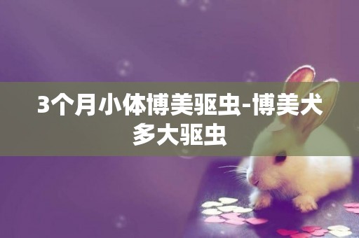 3個月小體博美驅蟲-博美犬多大驅蟲