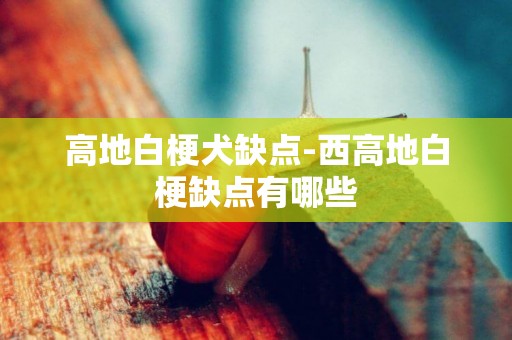 高地白梗犬缺點-西高地白梗缺點有哪些
