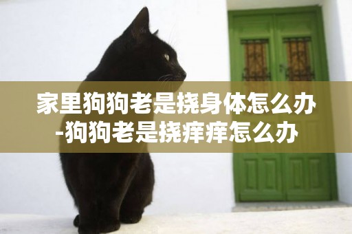 家里狗狗老是撓身體怎么辦-狗狗老是撓癢癢怎么辦