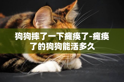 狗狗摔了一下癱瘓了-癱瘓了的狗狗能活多久