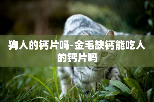 狗人的鈣片嗎-金毛缺鈣能吃人的鈣片嗎