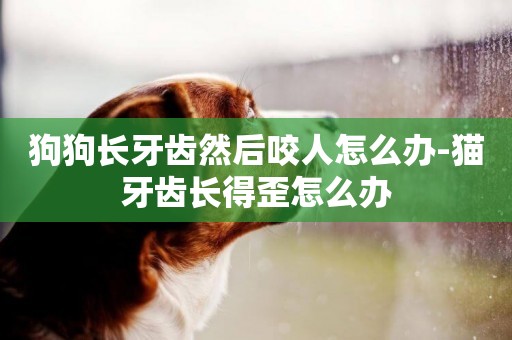 狗狗長牙齒然后咬人怎么辦-貓牙齒長得歪怎么辦