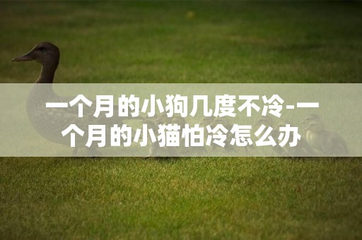 一個月的小狗幾度不冷-一個月的小貓怕冷怎么辦