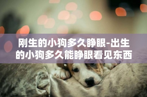 剛生的小狗多久睜眼-出生的小狗多久能睜眼看見東西