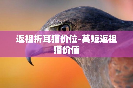 返祖折耳貓價位-英短返祖貓價值