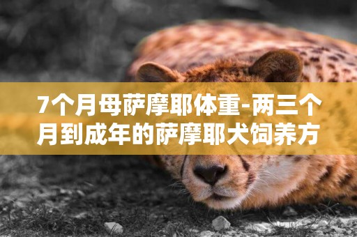 7個月母薩摩耶體重-兩三個月到成年的薩摩耶犬飼養方法