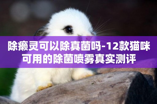 除癩靈可以除真菌嗎-12款貓咪可用的除菌噴霧真實測評