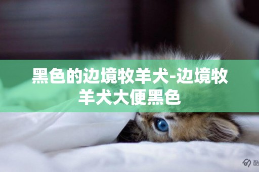 黑色的邊境牧羊犬-邊境牧羊犬大便黑色