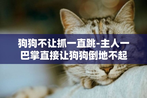 狗狗不讓抓一直跳-主人一巴掌直接讓狗狗倒地不起