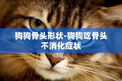 狗狗骨頭形狀-狗狗吃骨頭不消化癥狀