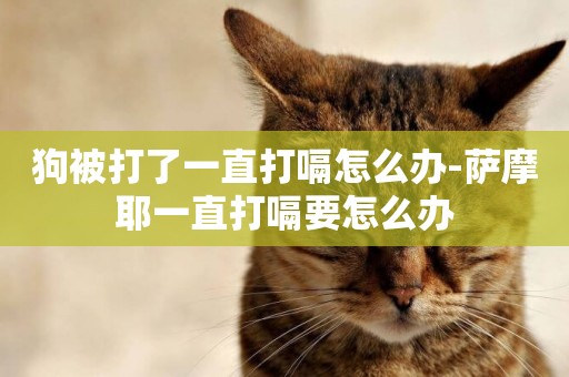 狗被打了一直打嗝怎么辦-薩摩耶一直打嗝要怎么辦