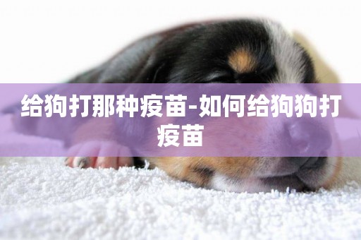 給狗打那種疫苗-如何給狗狗打疫苗