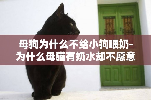 母狗為什么不給小狗喂奶-為什么母貓有奶水卻不愿意喂小貓