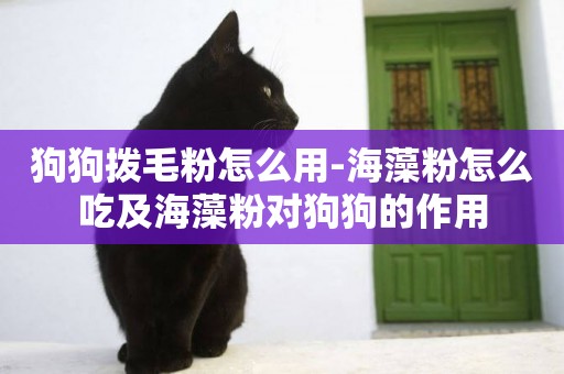 狗狗撥毛粉怎么用-海藻粉怎么吃及海藻粉對狗狗的作用