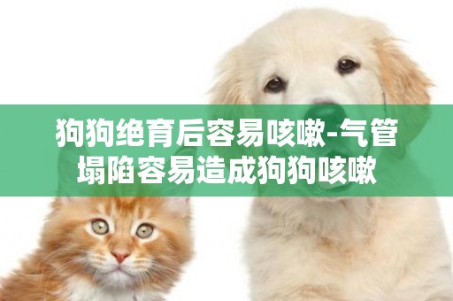 狗狗絕育后容易咳嗽-氣管塌陷容易造成狗狗咳嗽