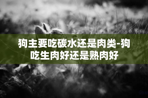 狗主要吃碳水還是肉類-狗吃生肉好還是熟肉好