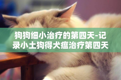 狗狗細小治療的第四天-記錄小土狗得犬瘟治療第四天