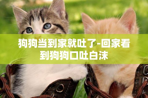 狗狗當到家就吐了-回家看到狗狗口吐白沫
