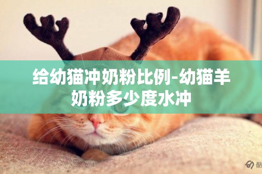 給幼貓沖奶粉比例-幼貓羊奶粉多少度水沖