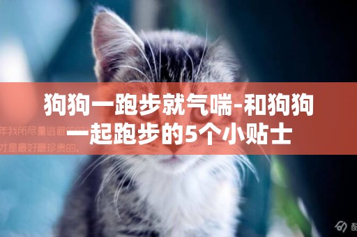 狗狗一跑步就氣喘-和狗狗一起跑步的5個小貼士