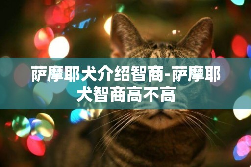 薩摩耶犬介紹智商-薩摩耶犬智商高不高
