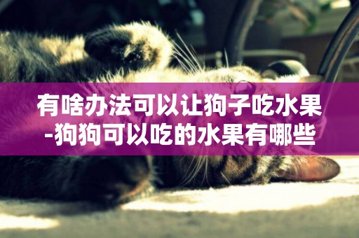 有啥辦法可以讓狗子吃水果-狗狗可以吃的水果有哪些