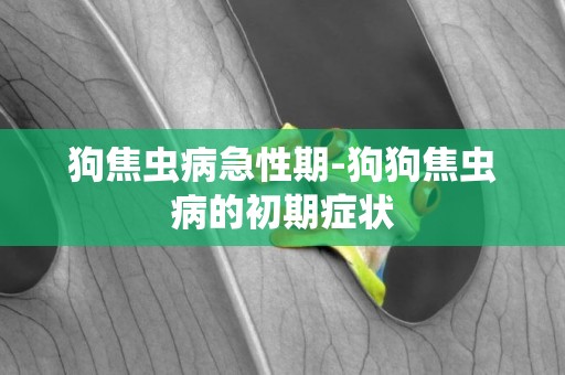 狗焦蟲病急性期-狗狗焦蟲病的初期癥狀