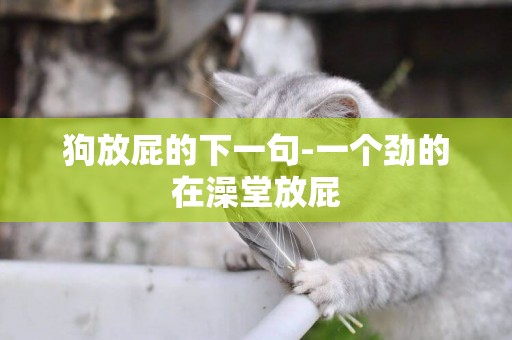 狗放屁的下一句-一個勁的在澡堂放屁
