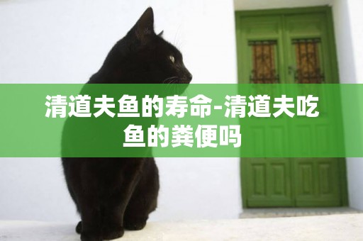 清道夫魚的壽命-清道夫吃魚的糞便嗎