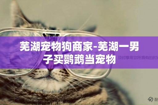 蕪湖寵物狗商家-蕪湖一男子買鸚鵡當寵物
