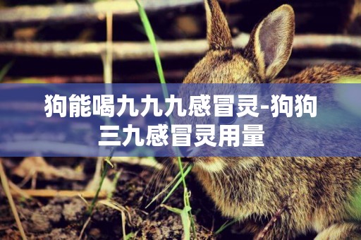 狗能喝九九九感冒靈-狗狗三九感冒靈用量