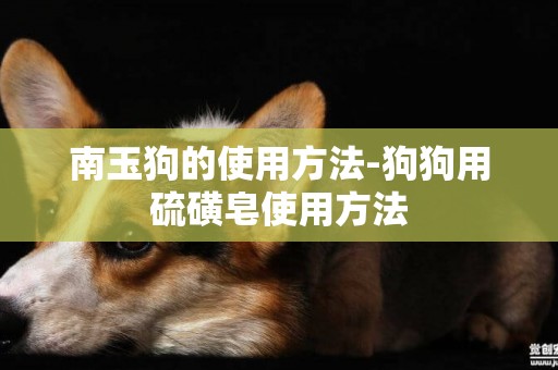 南玉狗的使用方法-狗狗用硫磺皂使用方法