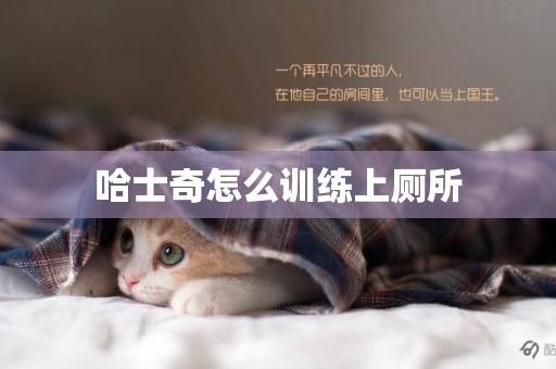 哈士奇怎么訓練上廁所