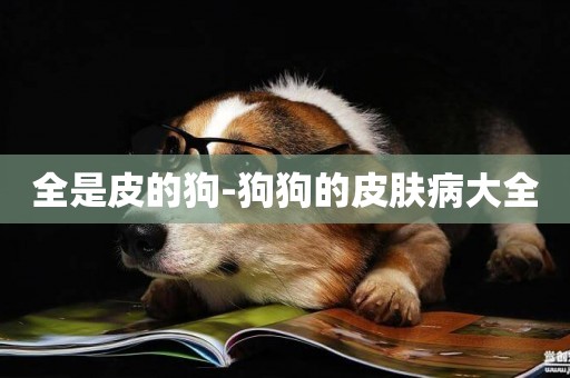 全是皮的狗-狗狗的皮膚病大全