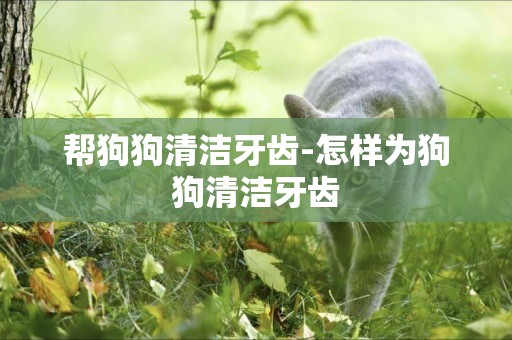 幫狗狗清潔牙齒-怎樣為狗狗清潔牙齒