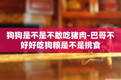 狗狗是不是不敢吃豬肉-巴哥不好好吃狗糧是不是挑食
