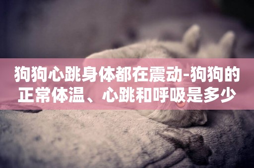 狗狗心跳身體都在震動-狗狗的正常體溫、心跳和呼吸是多少