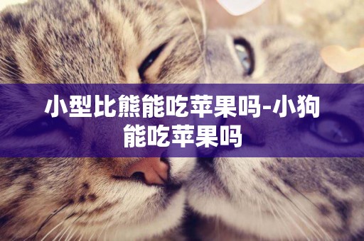 小型比熊能吃蘋果嗎-小狗能吃蘋果嗎