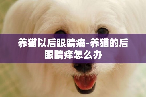 養貓以后眼睛痛-養貓的后眼睛癢怎么辦
