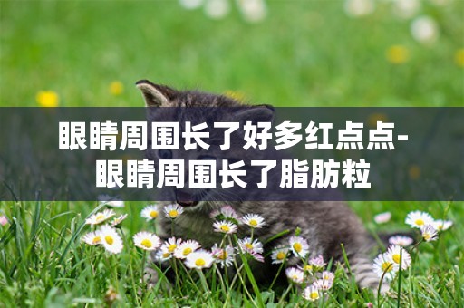 眼睛周圍長了好多紅點點-眼睛周圍長了脂肪粒