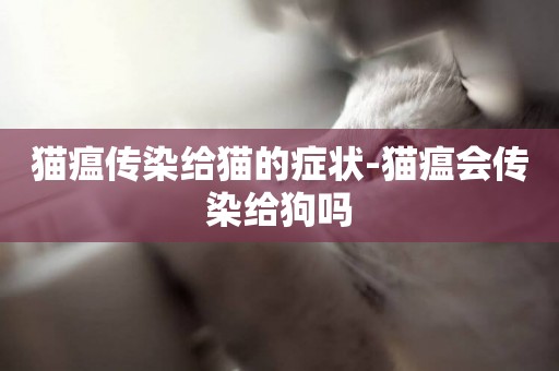 貓瘟傳染給貓的癥狀-貓瘟會傳染給狗嗎
