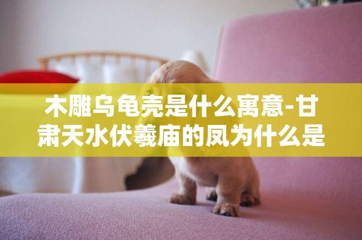木雕烏龜殼是什么寓意-甘肅天水伏羲廟的鳳為什么是烏龜背
