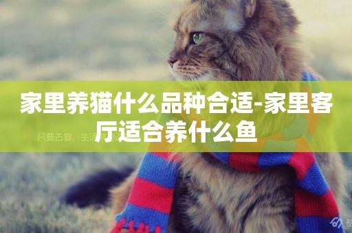 家里養貓什么品種合適-家里客廳適合養什么魚