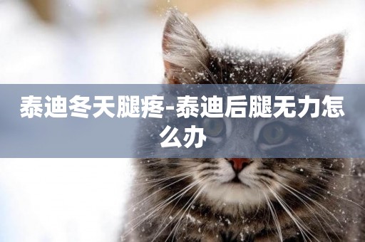 泰迪冬天腿疼-泰迪后腿無力怎么辦
